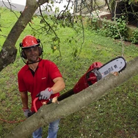 Einhell GC-EC750T Magassági ágvágó (4501210)